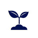 Q1-House-Sustainability