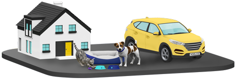 House, car, and pet insurance