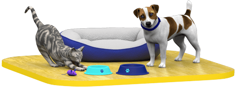 Pet