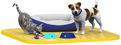 Pet