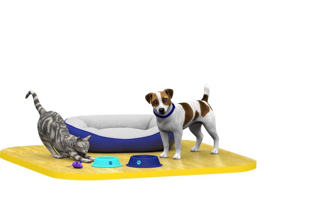 Cat and dog with pet bed and bowls.